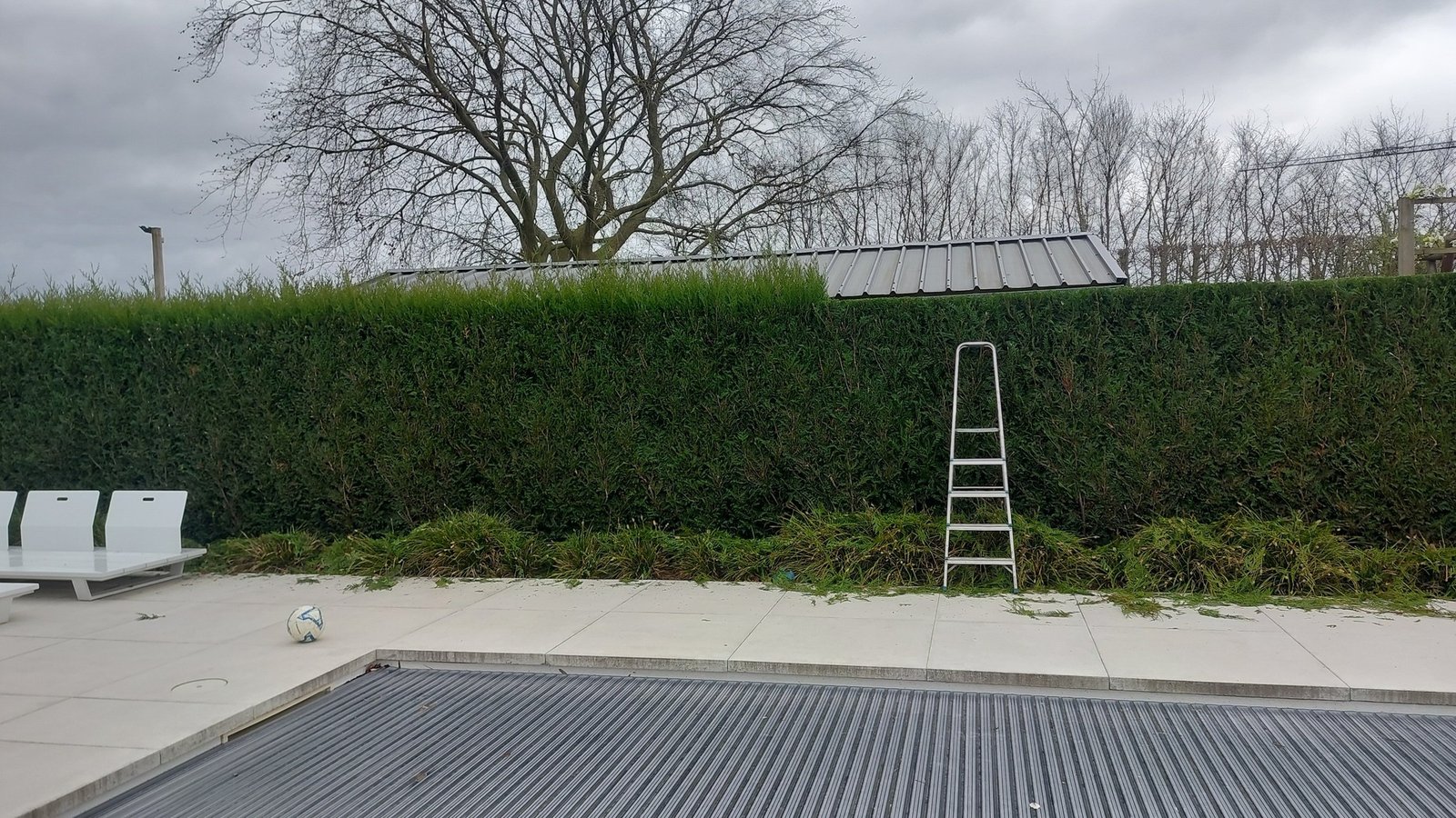 Professioneel haag laten scheren Kortenberg