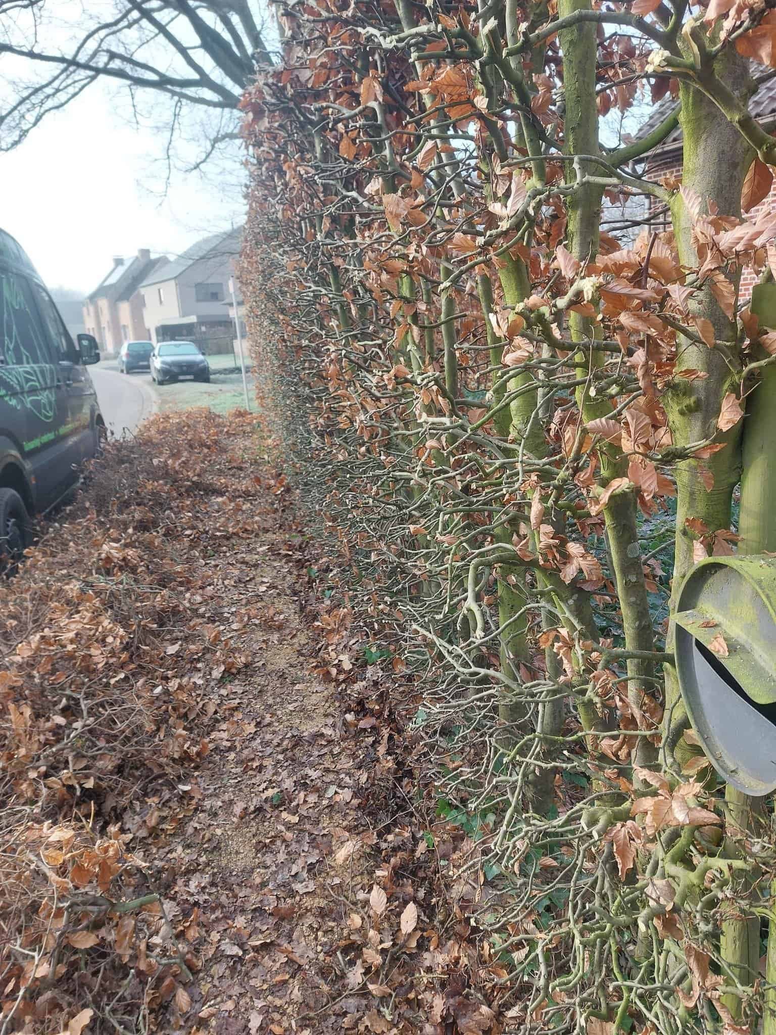 rotselaar tuinonderhoud